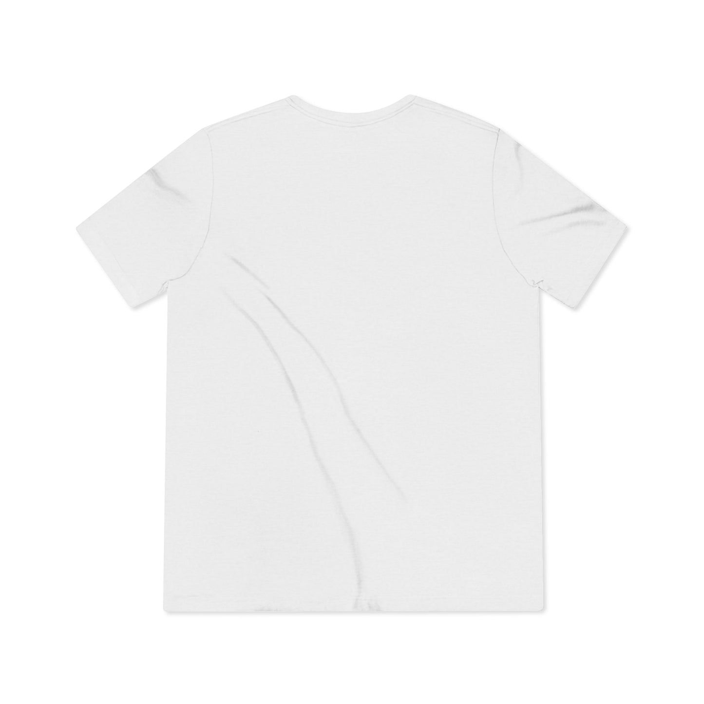 1NATO Unisex Triblend T-Shirt